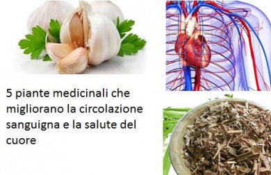 Salute del sistema cardiovascolare al top naturalmente