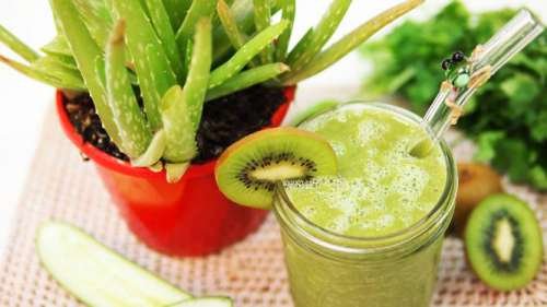 Aloe vera stitichezza
