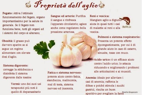 7 usi e benefici dell’aglio crudo per la salute