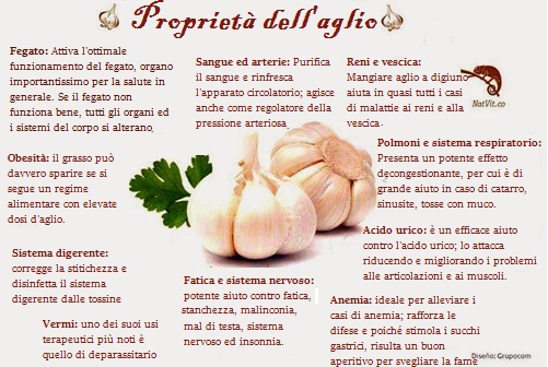 7 usi e benefici dell’aglio per la salute 7 usi e benefici dell’aglio per la salute