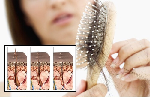 Buono per comprare lolio di capelli naturale