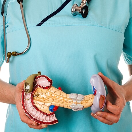 Pancreas