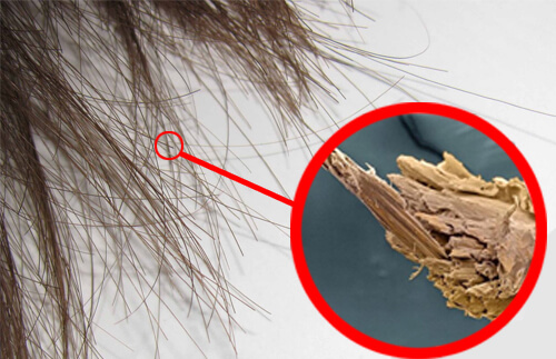 Serie di esercizi per perdita di peso di gambe