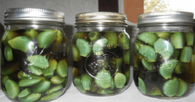 Usare aglio, aceto e miele contro le malattie