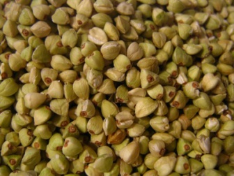Il-grano-saraceno-una-alternativa-senza-glutine3