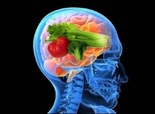 Scoprite i benefici della "dieta del cervello"