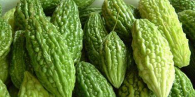 Il melone amaro contro il cancro ed il diabete