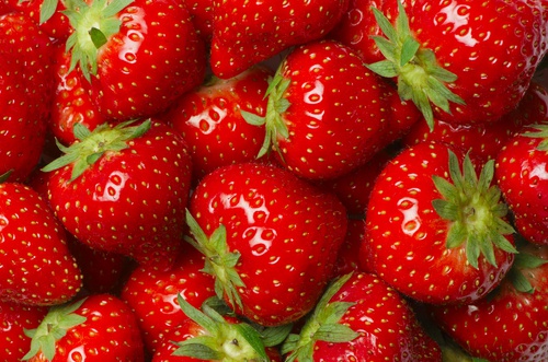 Fragole fresche