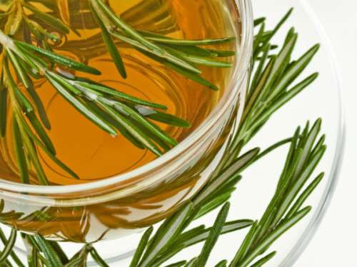 Infuso di rosmarino