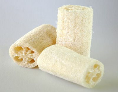 Spugna luffa per un trattamento anti-cellulite