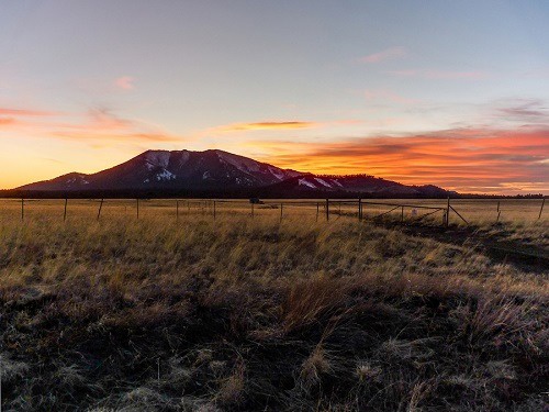 Indovinello del campo