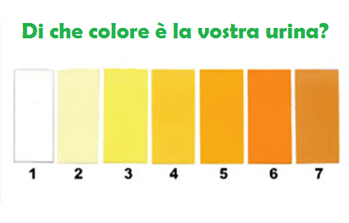 Colore urina