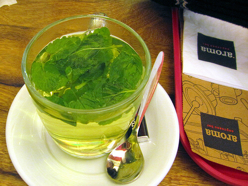 Erbe contro l'insonnia, menta