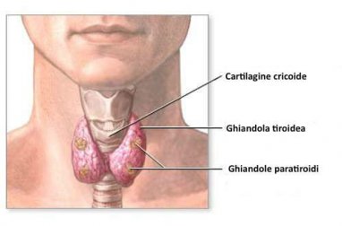Preservare la tiroide con rimedi naturali