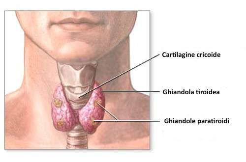 Preservare la tiroide