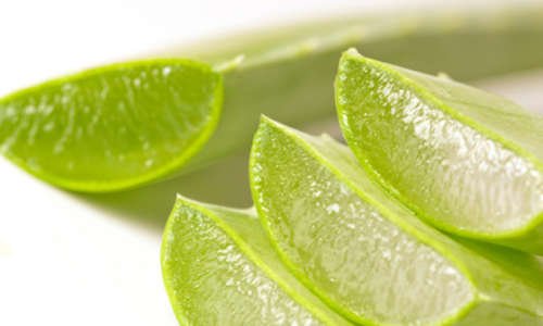 Benefici aloe vera