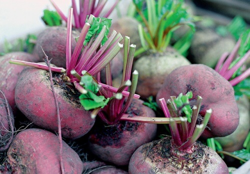 I benefici della barbabietola nella nostra dieta