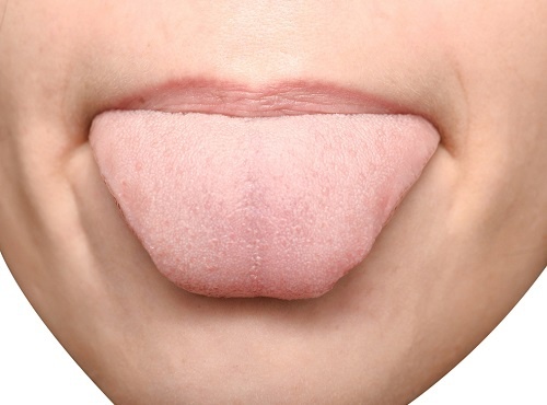 Lingua-500x370