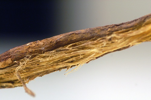 liquirizia utile per curare la psoriasi