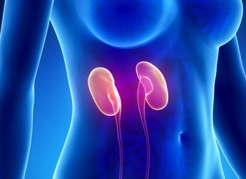 Come capire se dovete prendervi più cura dei reni