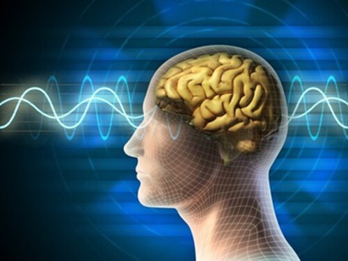 Decalogo per mantenere il cervello giovane Decalogo per mantenere il cervello giovane