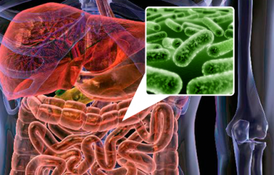 5 alimenti per riequilibrare la flora intestinale
