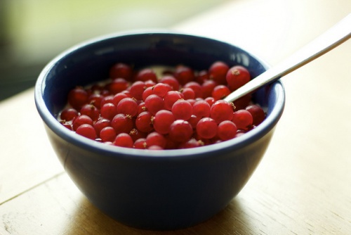 mirtilli rossi per la circolazione