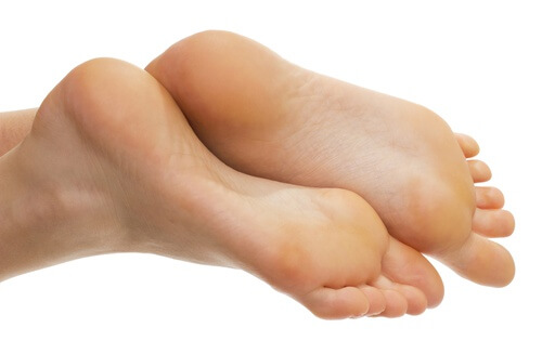 Piedi