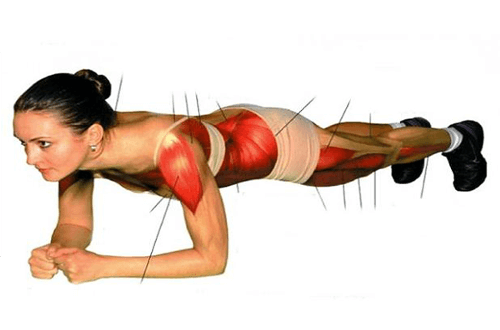 Fare il plank: l'esercizio addominale per tutto il corpo