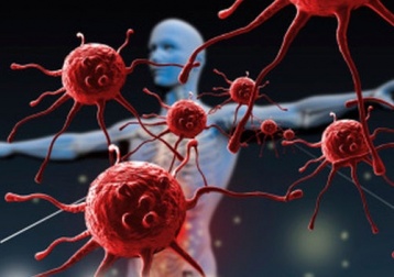 Cosa distrugge e debilita il sistema immunitario?