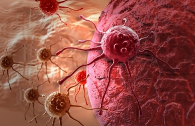 Tarassaco comune: un alleato contro il cancro
