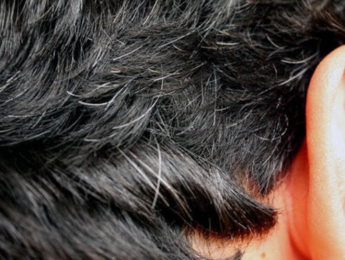 6 rimedi fatti in casa per prevenire la comparsa precoce dei capelli bianchi 6 rimedi fatti in casa per prevenire la comparsa precoce dei capelli bianchi