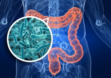 Migliorare la salute iniziando dall'intestino.