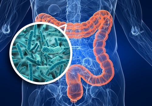 Sindrome da contaminazione batterica del tenue: sintomi e alimentazione