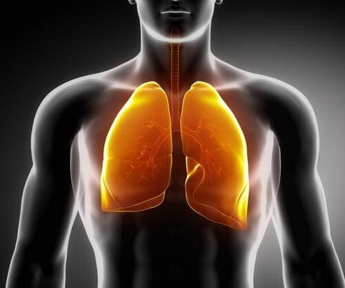 Come individuare i sintomi del cancro al polmone