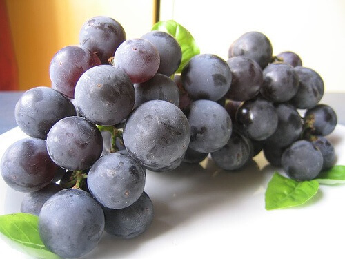 L’uva: un rimedio naturale per la salute dei reni