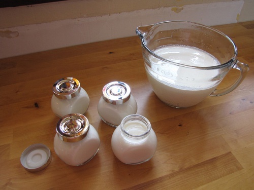 Yogurt