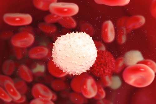 problemi segnalati dai muscoli - Sistema immunitario debole