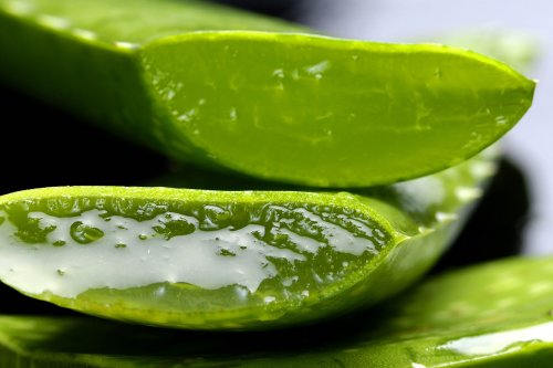 Gel di aloe vera