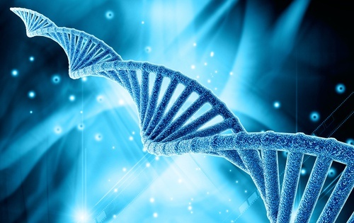 genetica e DNA