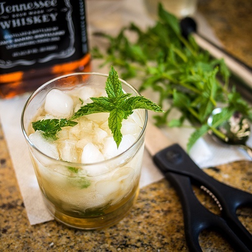 piante da casa la menta