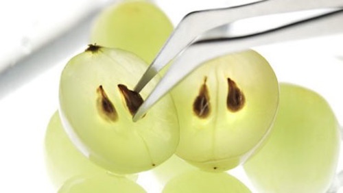 benefici dei semi di uva