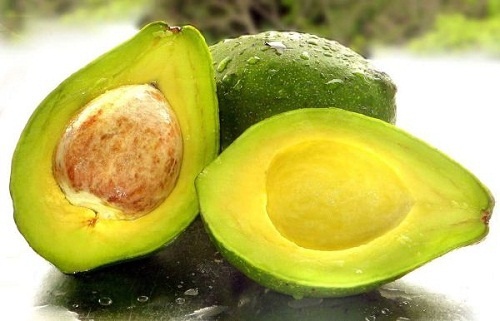 Avocado per ricette