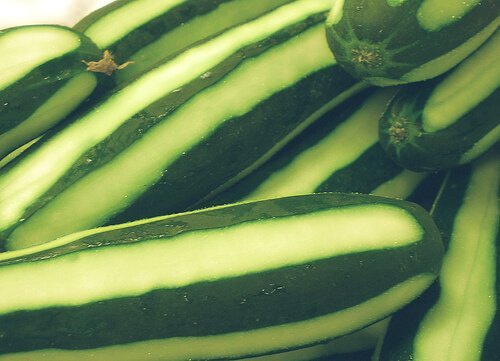 Impacchi di cetriolo