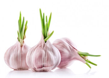Aglio e cipolla sono ricchi di proprietà nutrienti per la salute