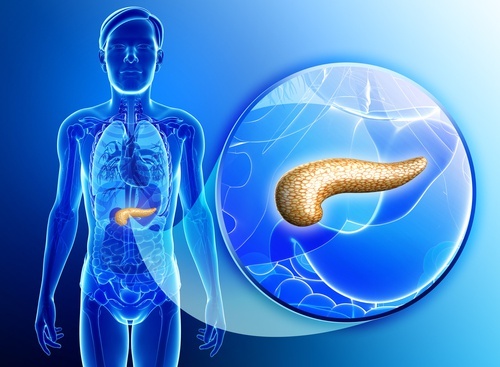 Come Disintossicare Il Pancreas In Modo Naturale Vivere