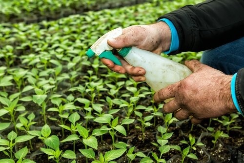 i pesticidi e la tiroide