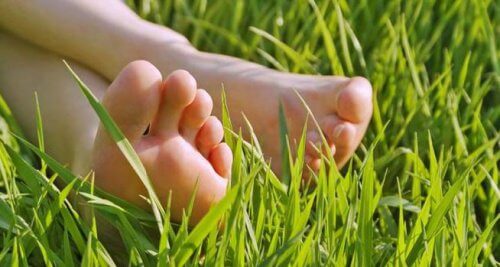 piedi sull'erba