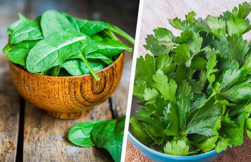 Spinaci e sedano