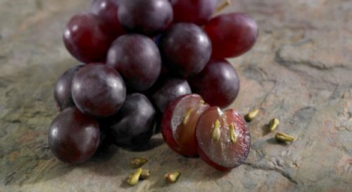 I benefici che si ottengono dai semi dell’uva